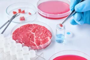 carne-sintetica-cibo-futuro