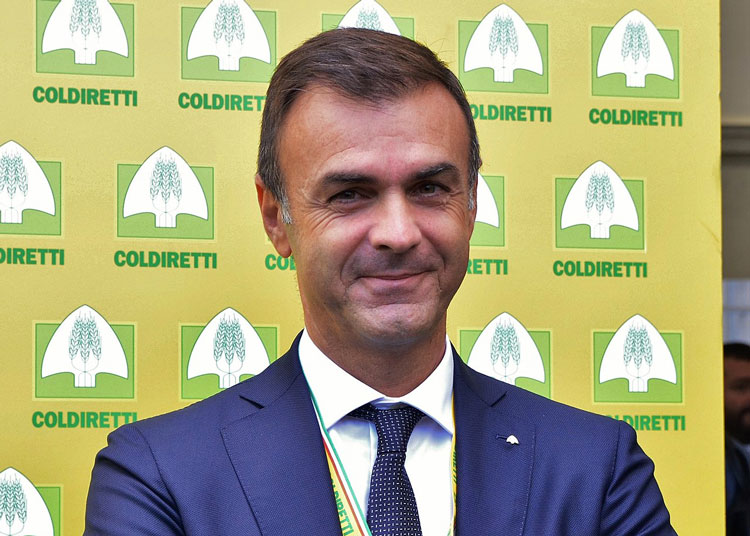 Caso di peste suina nel Lazio, l'allarme di Coldiretti