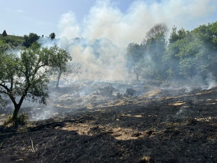 Velletri, violento incendio mette a rischio case di campagna