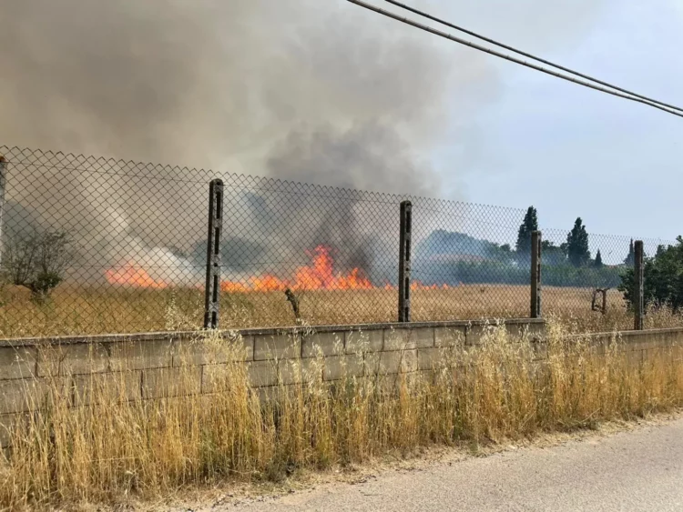 Vasto incendio vicino al Campo della memoria a Nettuno, sgomberate le case