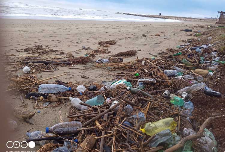 Volontari puliscono le spiagge di Latina (le FOTO)