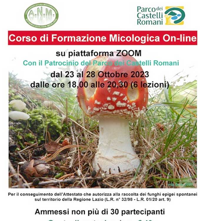 Il Parco dei Castelli lancia il corso (on line) di 6 lezioni per conoscere i funghi. Tutte le info