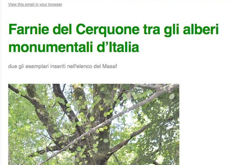 2 querce del Parco dei Castelli Romani tra gli alberi monumentali