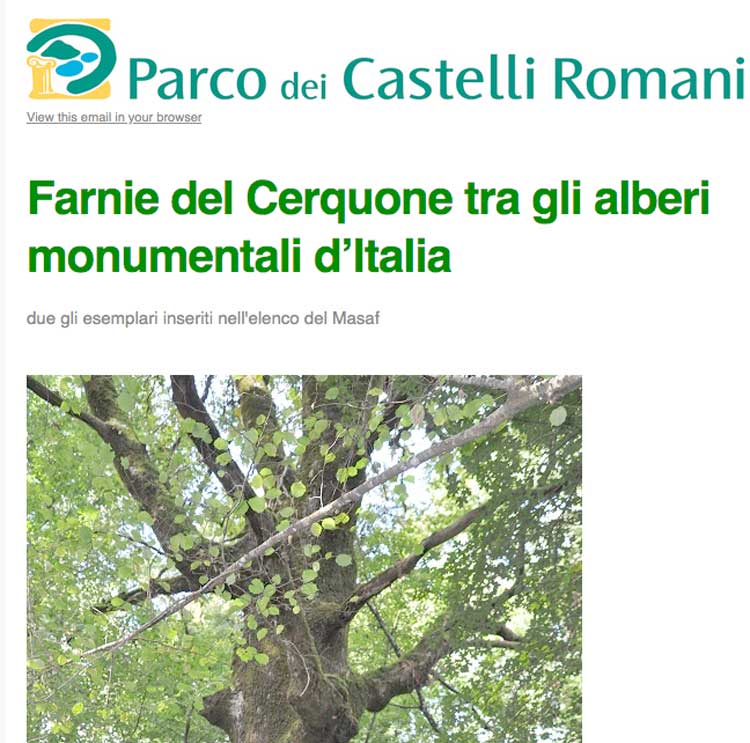 2 querce del Parco dei Castelli Romani tra gli alberi monumentali d'Italia