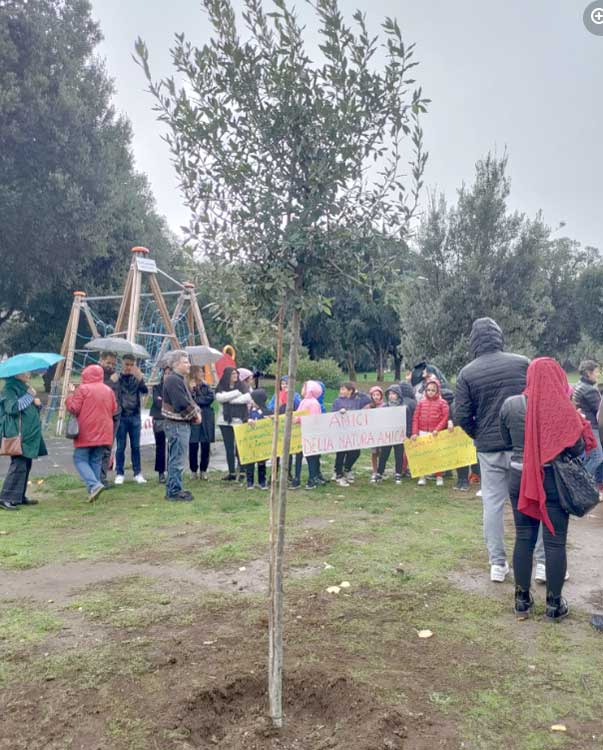 Frascati, bimbi e Comune piantano un nuovo leccio al parco dell'Ombrellino