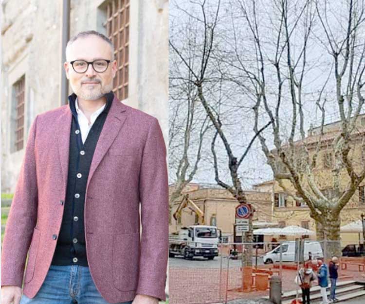 Il sindacxo di Albano, Massimiliano Borelli, e gli alberi di piazza Carducci