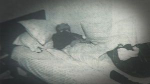 Corpo di Don Cesare Boschin incaprettato e tumefatto, con la bocca tappata da nastro isolante e un asciugamano insanguinato ai piedi del letto.