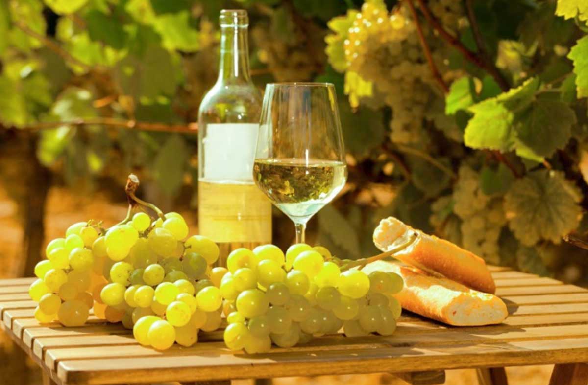 Frascati celebra il suo vino con 5 giorni di festa