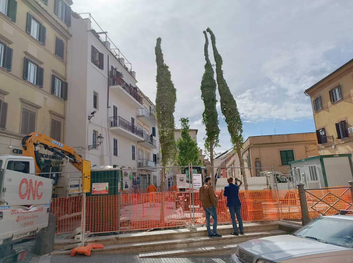 Albano, a piazza Carducci tornano i sospirati nuovi alberi. Prima c'erano 6 platani, ora...