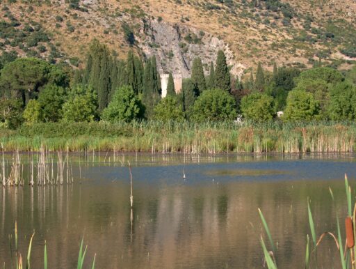 Il parco naturale a Cisterna di Latina che riproduce le paludi pontine: Pantanello compie 20 anni