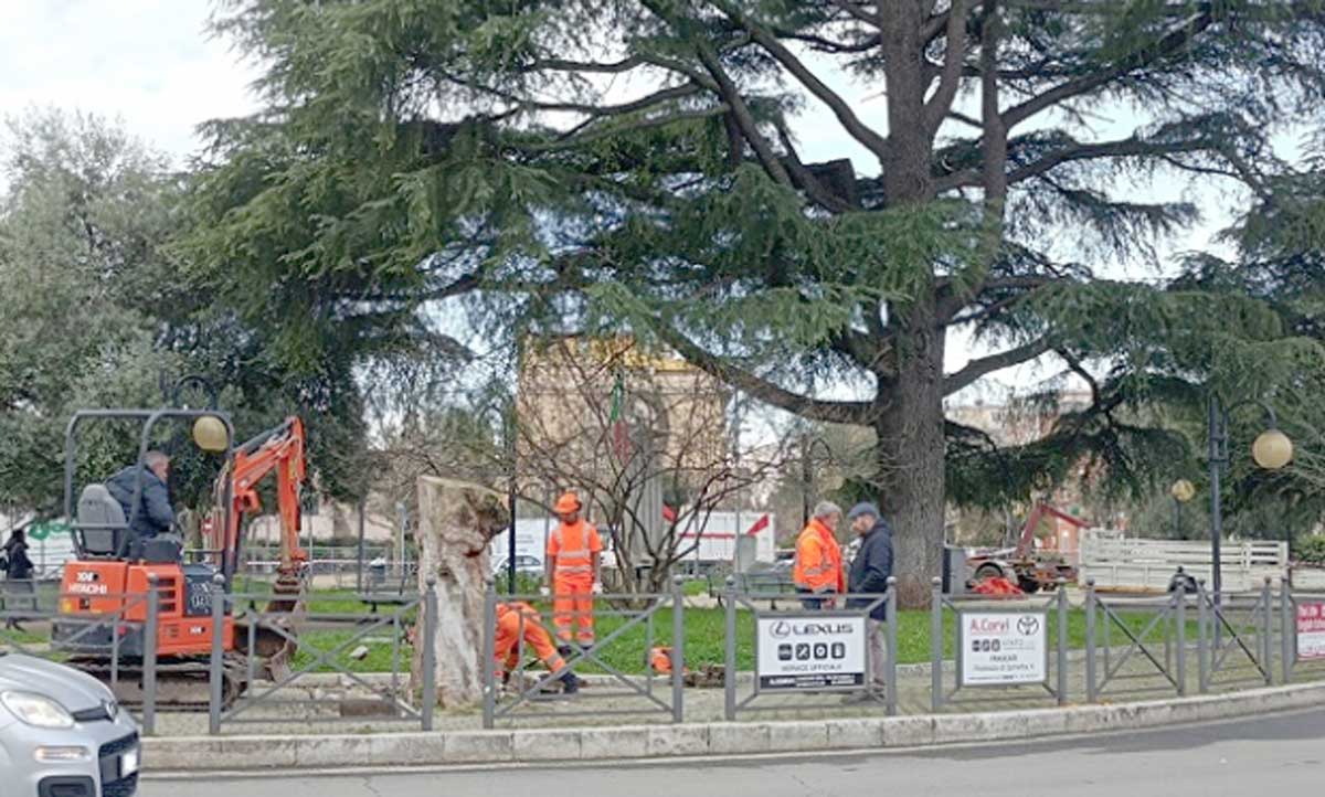 A Ciampino c'è un taglio indiscriminato di alberi: il caso finisce in Parlamento