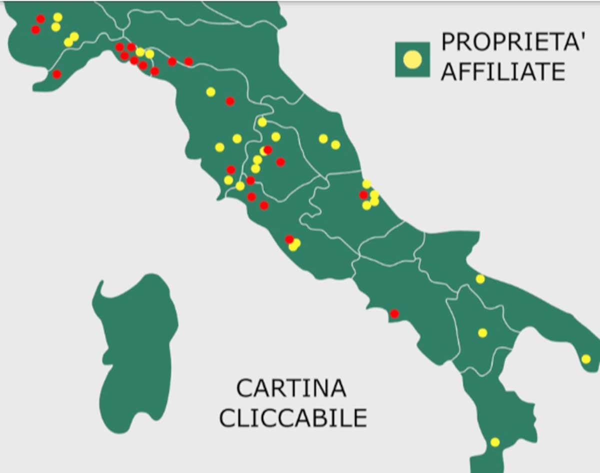 Stop al taglio ceduo nei boschi dei Castelli Romani: parte il Piano 'Più Foreste a Roma Sud'