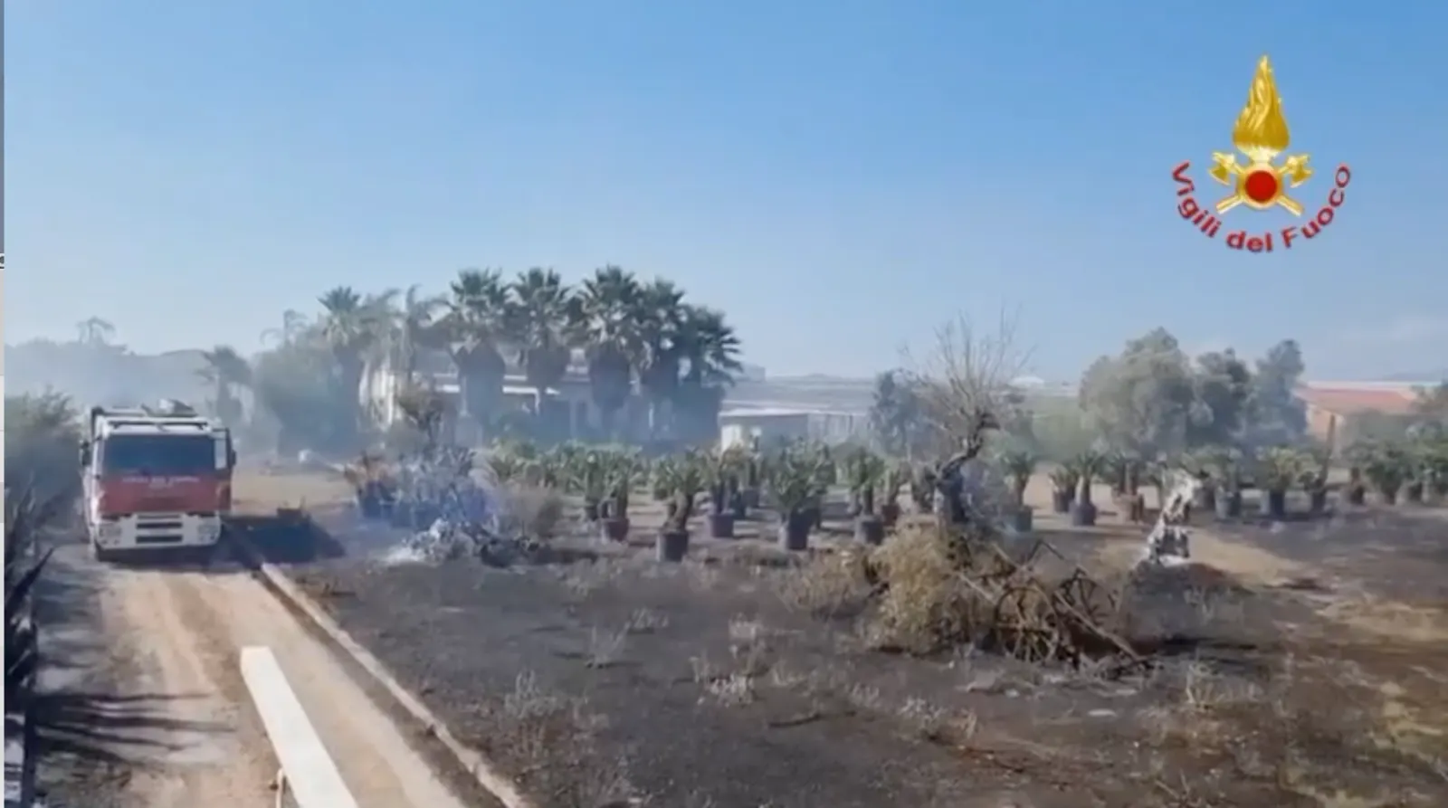 Immagini dell'incendio presso attività di floricultura a Sabaudia