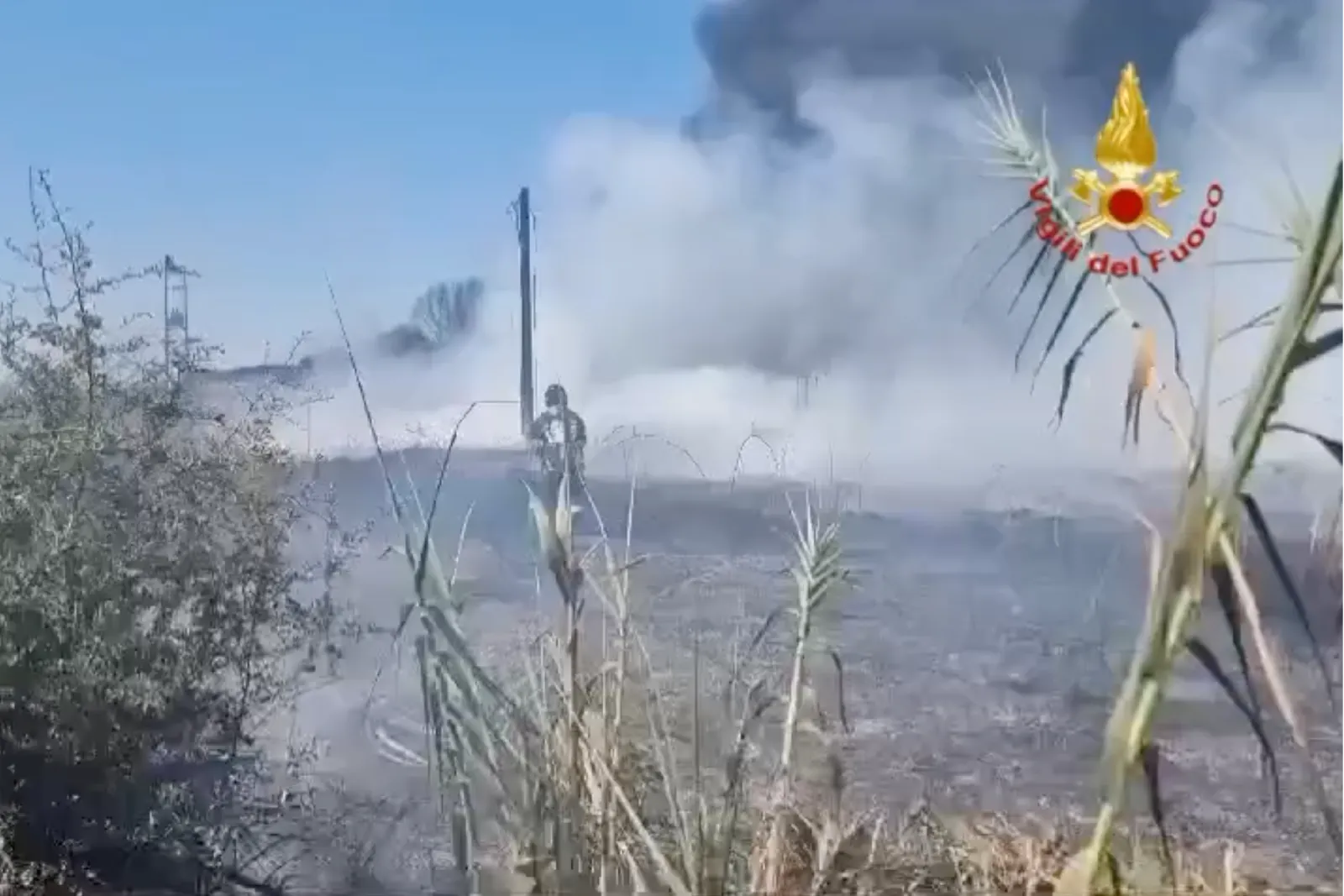 Grande incendio a Sabaudia, coinvolta un'area di 7 ettari e un'azienda (FOTO e VIDEO)
