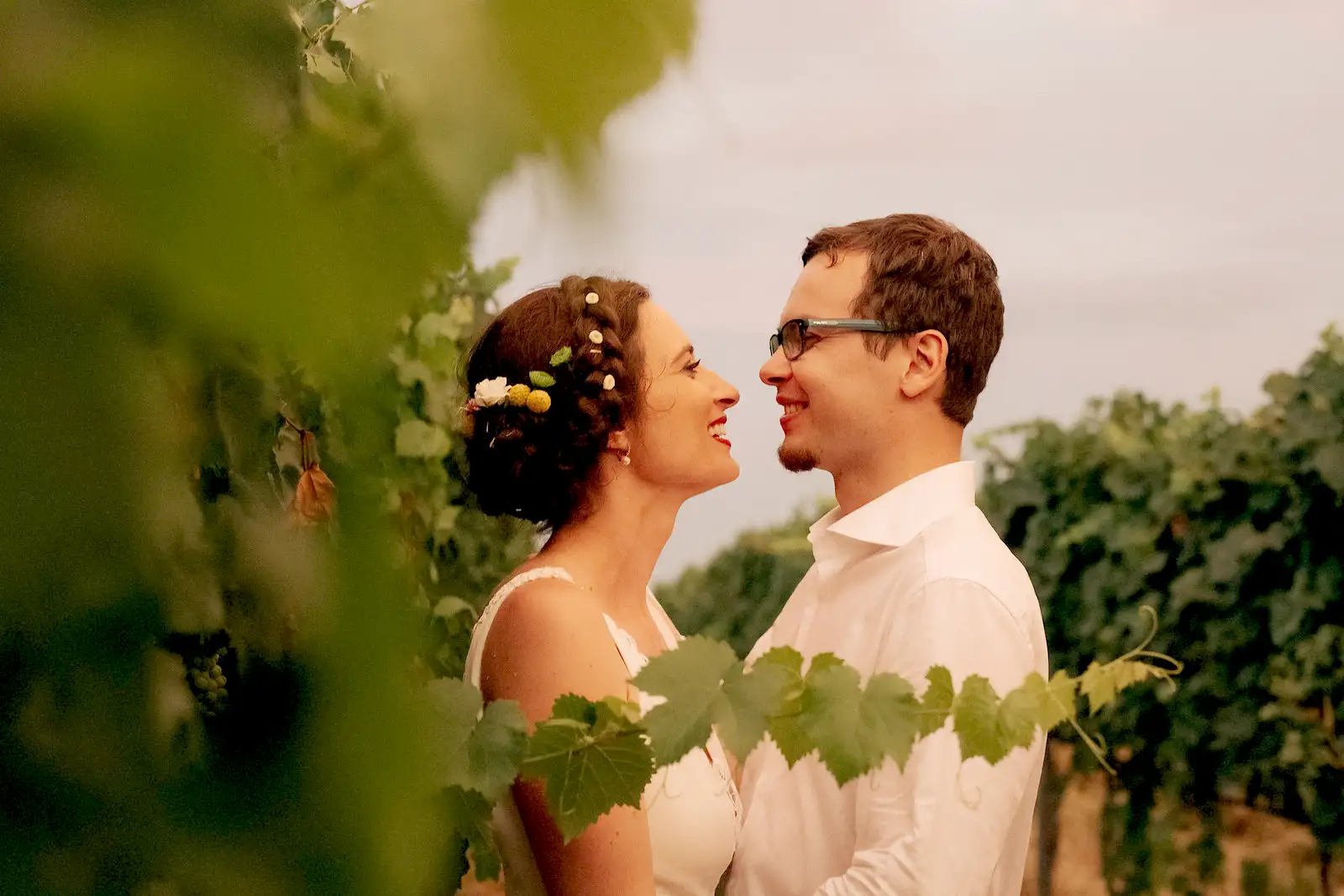 Frascati, ora Matrimoni e Unioni civili si potranno fare tra vigne e botti di vino