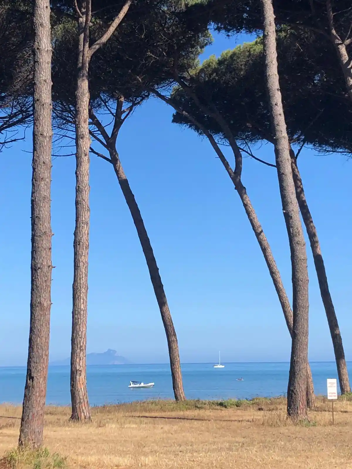 Pineta di Torre Astura, paesaggio con il promontorio del Circeo