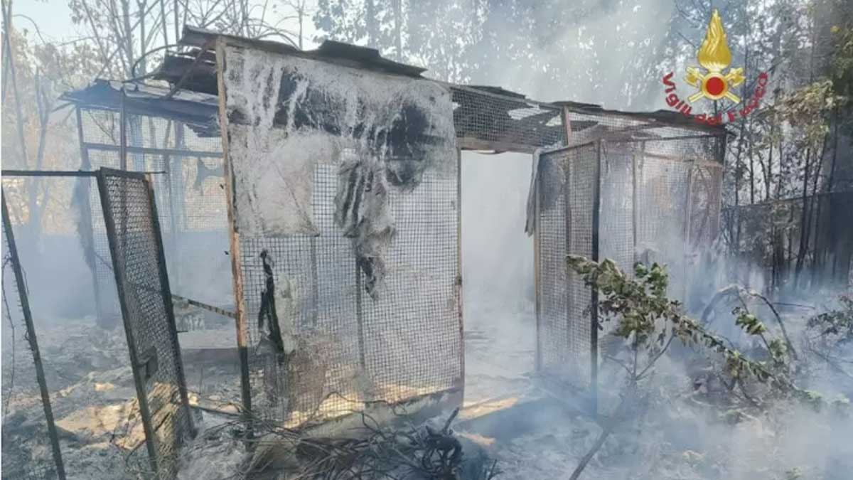 Castel Gandolfo, bruciano 2 baracche, pericolo amianto. Interviene in Comune