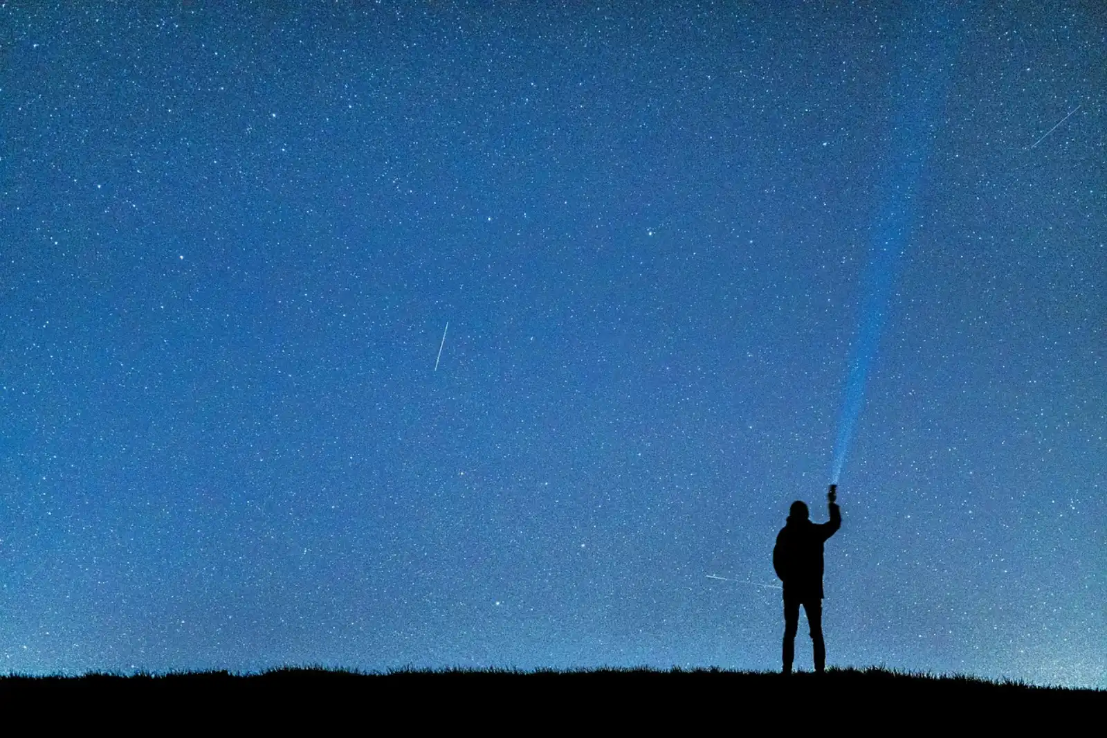 La Notte delle Stelle all'oasi Lipu di Ostia: il programma del 10 agosto per ammirare lo spettacolo delle stelle cadenti