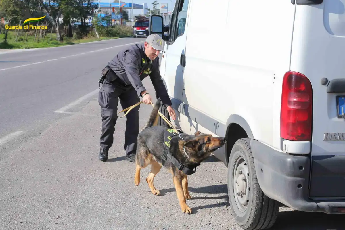 Guardia di Finanza unità cinofila