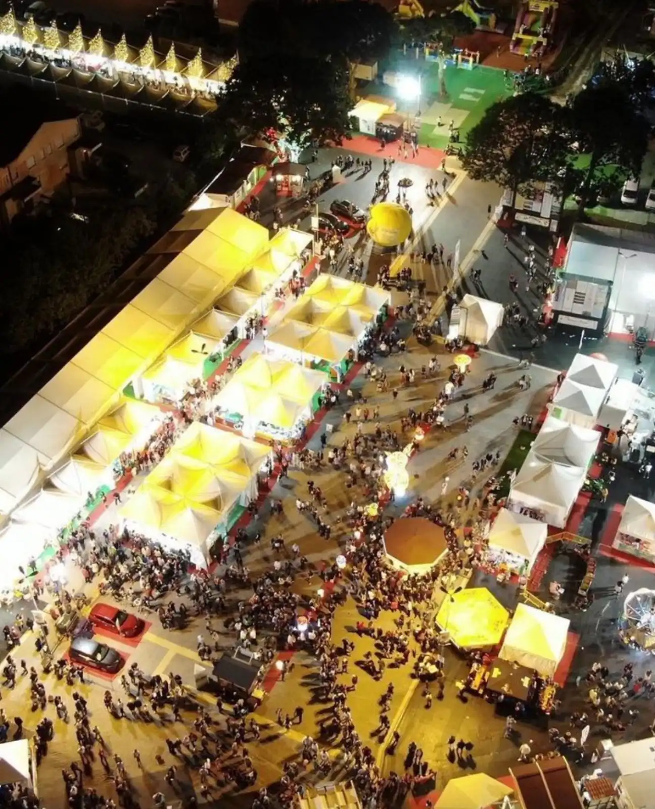 32esima Festa del Fungo Porcino a Lariano, una edizione 