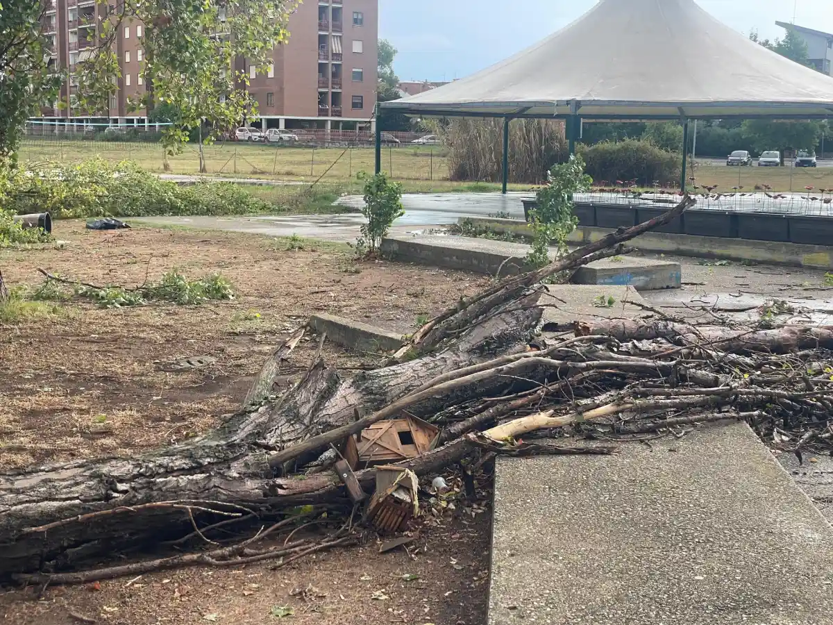 Alberi schiantati al suolo nel giardino della Parrocchia San Luca