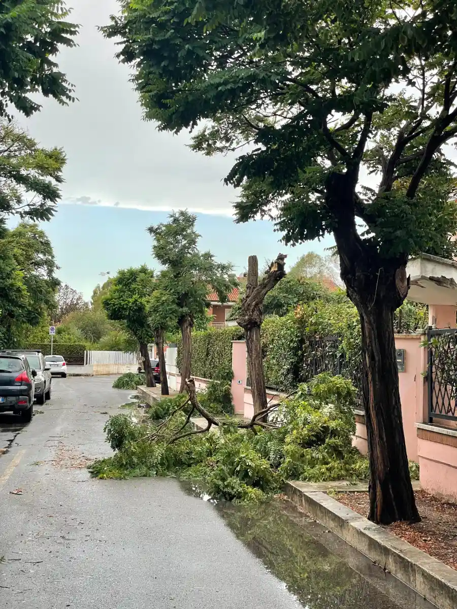 Via Boccherini, rami in strada, spezzati dal maltempo