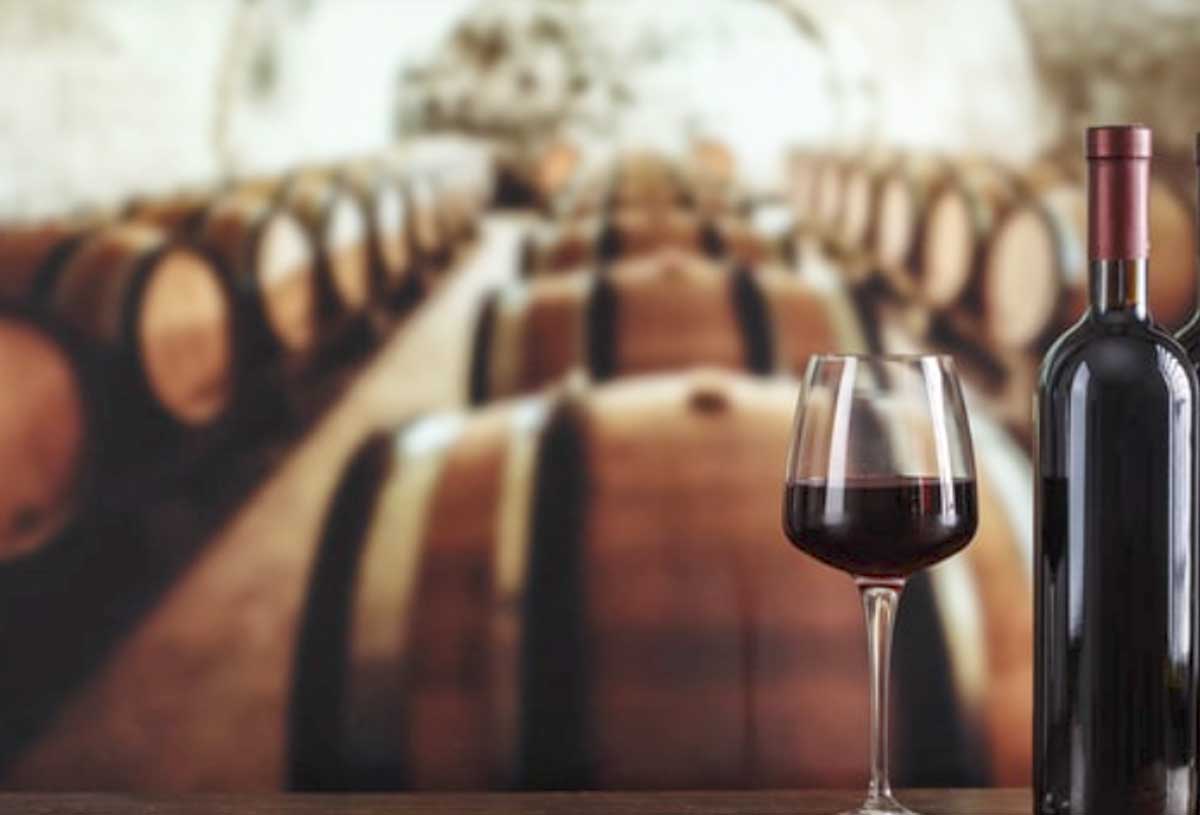 I 10 migliori vini del Lazio per Gambero Rosso: da Latina ai Castelli