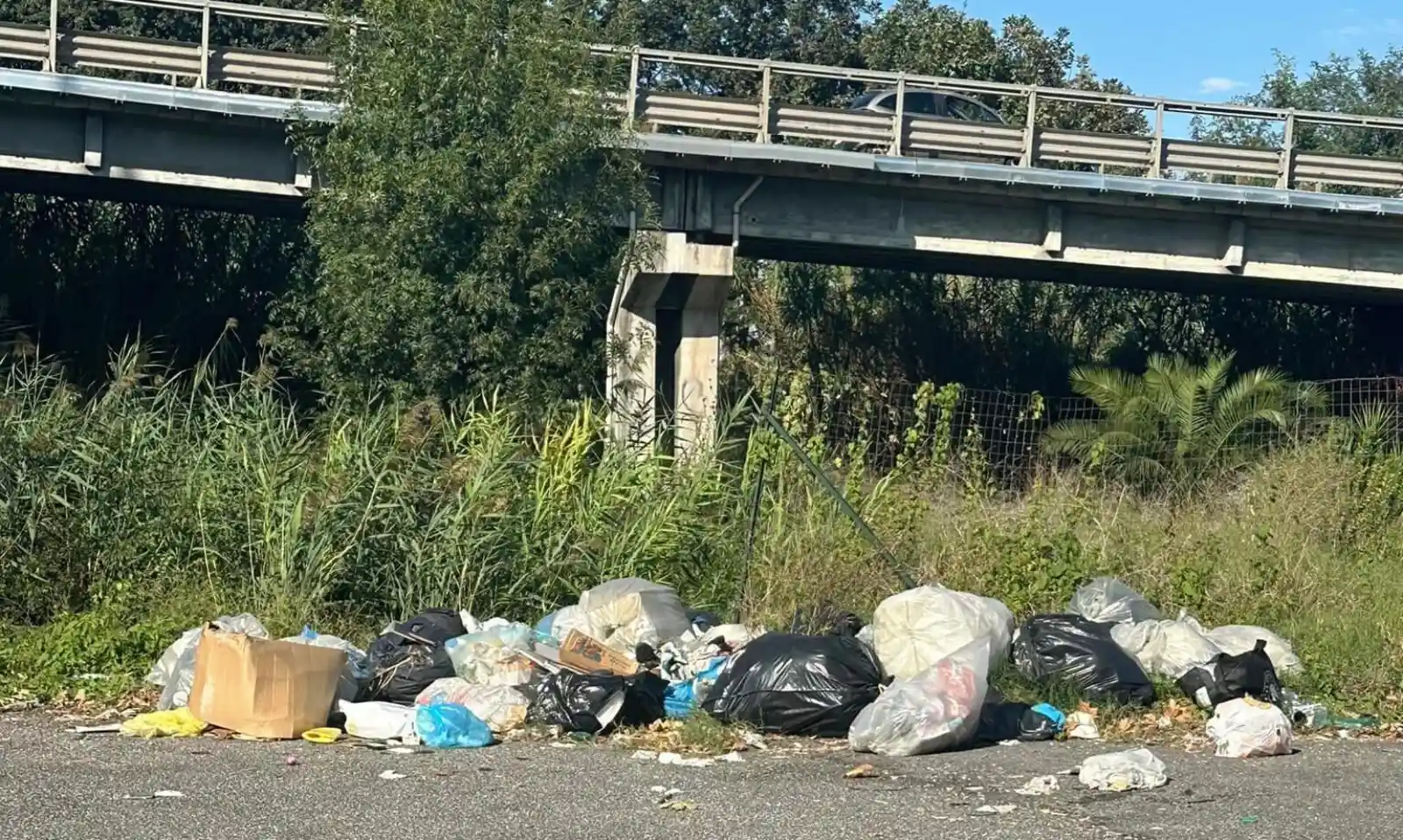 Rifiuti ovunque a Nettuno e Anzio, il commissario: i cittadini non si voltino dall'altra parte