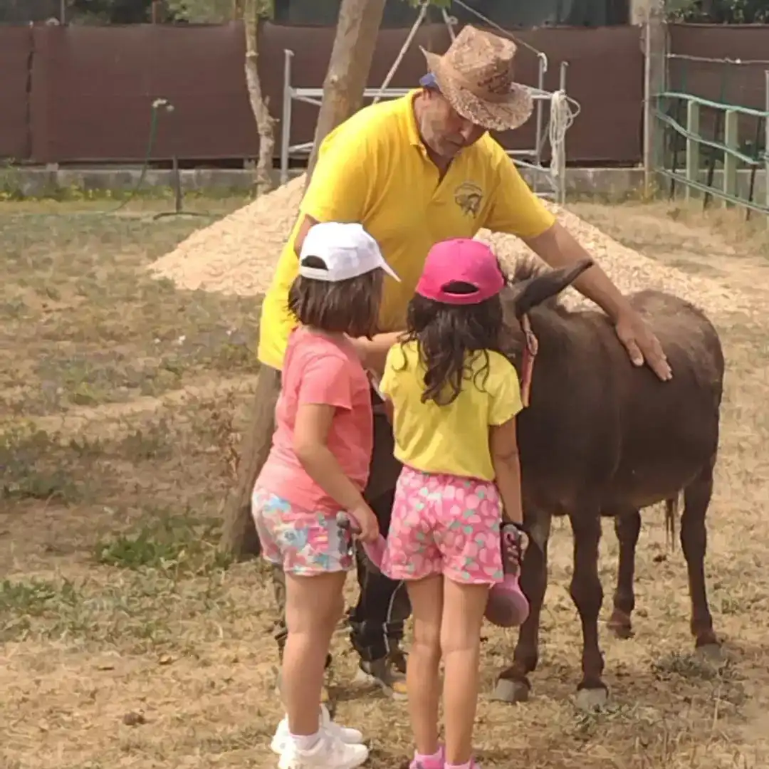 pet therapy con asini e bambini qua la zampa asd